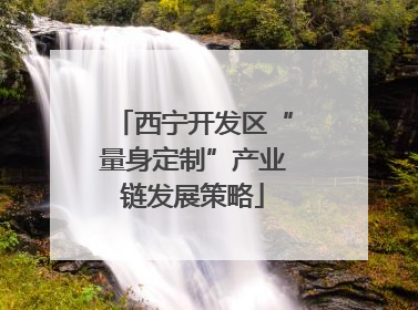 西宁开发区“量身定制”产业链发展策略