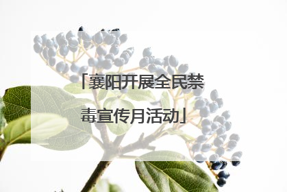 襄阳开展全民禁毒宣传月活动