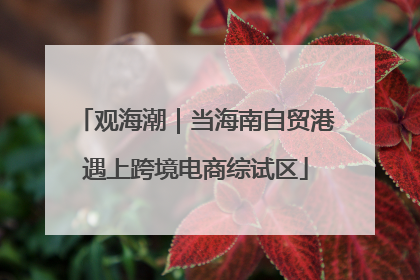 观海潮｜当海南自贸港遇上跨境电商综试区