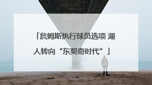 詹姆斯执行球员选项 湖人转向“东契奇时代”