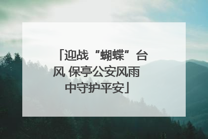 迎战“蝴蝶”台风 保亭公安风雨中守护平安
