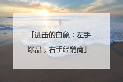 进击的白象：左手爆品，右手经销商
