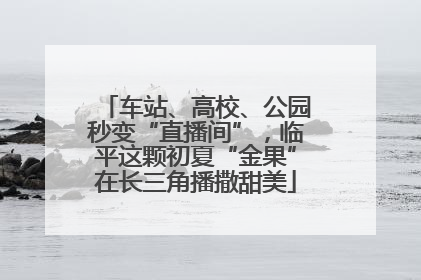 车站、高校、公园秒变“直播间”，临平这颗初夏“金果”在长三角播撒甜美