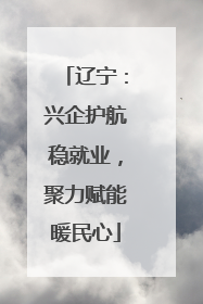 辽宁：兴企护航稳就业，聚力赋能暖民心