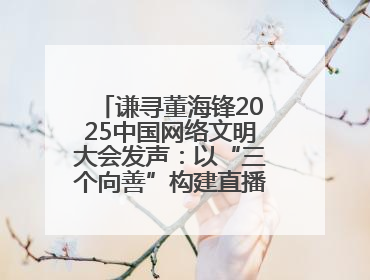 谦寻董海锋2025中国网络文明大会发声：以“三个向善”构建直播电商善意长河
