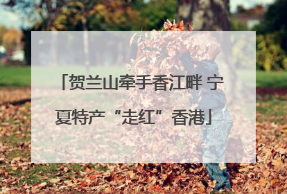 贺兰山牵手香江畔 宁夏特产“走红”香港
