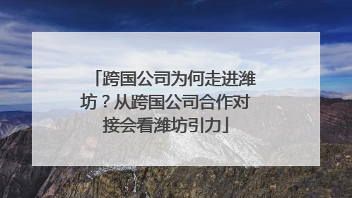 跨国公司为何走进潍坊？从跨国公司合作对接会看潍坊引力