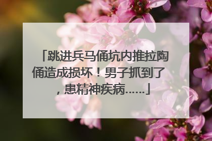 跳进兵马俑坑内推拉陶俑造成损坏！男子抓到了，患精神疾病……
