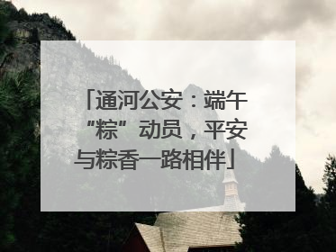 通河公安：端午“粽”动员，平安与粽香一路相伴