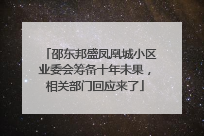 邵东邦盛凤凰城小区业委会筹备十年未果，相关部门回应来了
