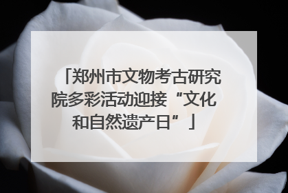 郑州市文物考古研究院多彩活动迎接“文化和自然遗产日”