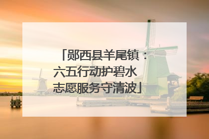 郧西县羊尾镇：六五行动护碧水 志愿服务守清波