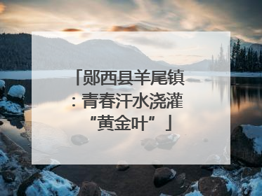 郧西县羊尾镇：青春汗水浇灌“黄金叶”