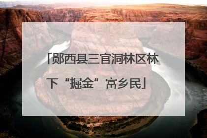 郧西县三官洞林区林下“掘金”富乡民