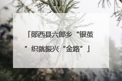 郧西县六郎乡“银茧”织就振兴“金路”