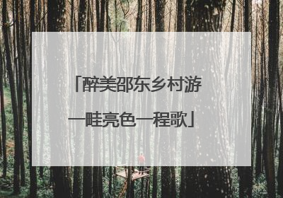 醉美邵东乡村游 一畦亮色一程歌