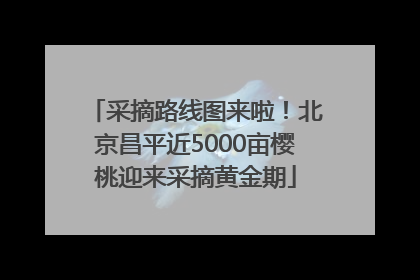 采摘路线图来啦！北京昌平近5000亩樱桃迎来采摘黄金期