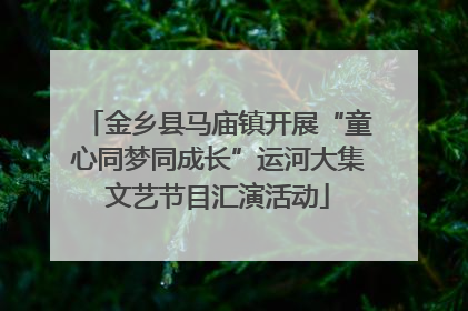 金乡县马庙镇开展“童心同梦同成长”运河大集文艺节目汇演活动