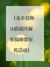 金乡县鱼山街道开展医保政策宣传活动