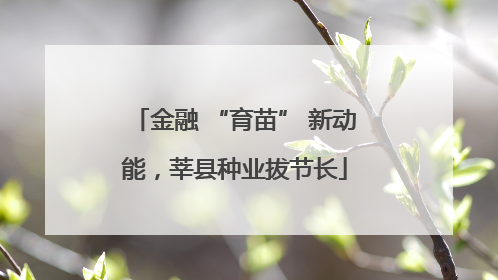 金融 “育苗” 新动能，莘县种业拔节长