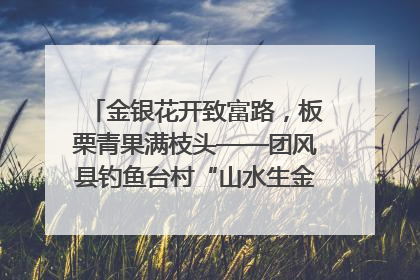 金银花开致富路，板栗青果满枝头——团风县钓鱼台村“山水生金”谱写共富新篇章