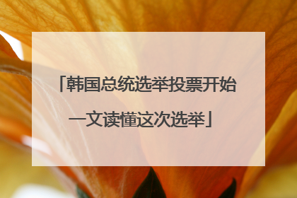 韩国总统选举投票开始 一文读懂这次选举