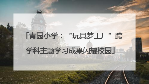 青园小学：“玩具梦工厂”跨学科主题学习成果闪耀校园