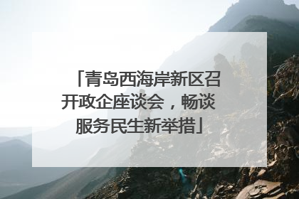青岛西海岸新区召开政企座谈会，畅谈服务民生新举措