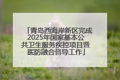 青岛西海岸新区完成2025年国家基本公共卫生服务疾控项目暨医防融合督导工作