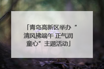 青岛高新区举办“清风拂端午 正气润童心”主题活动