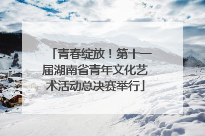 青春绽放！第十一届湖南省青年文化艺术活动总决赛举行