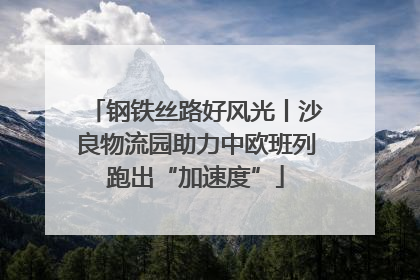 钢铁丝路好风光丨沙良物流园助力中欧班列跑出“加速度”