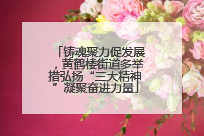 铸魂聚力促发展，黄鹤楼街道多举措弘扬“三大精神”凝聚奋进力量