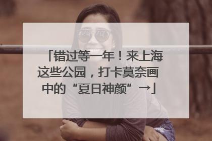 错过等一年！来上海这些公园，打卡莫奈画中的“夏日神颜”→