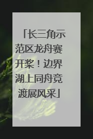 长三角示范区龙舟赛开桨！边界湖上同舟竞渡展风采