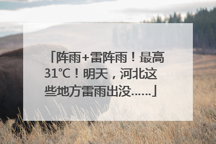 阵雨+雷阵雨！最高31℃！明天，河北这些地方雷雨出没……