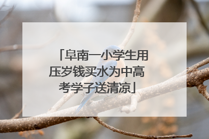 阜南一小学生用压岁钱买水为中高考学子送清凉