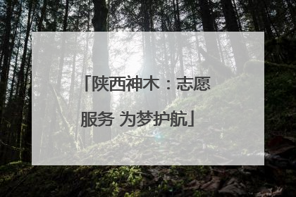 陕西神木：志愿服务 为梦护航