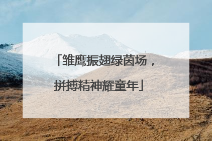 雏鹰振翅绿茵场，拼搏精神耀童年