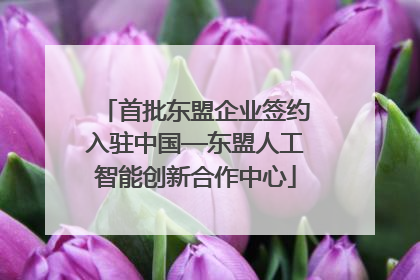 首批东盟企业签约入驻中国—东盟人工智能创新合作中心