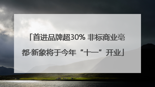 首进品牌超30% 非标商业亳都·新象将于今年“十一”开业