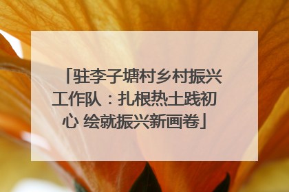 驻李子塘村乡村振兴工作队：扎根热土践初心 绘就振兴新画卷