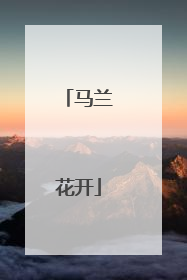 马兰花开