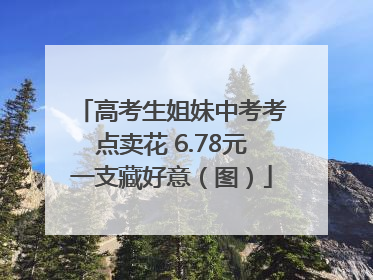 高考生姐妹中考考点卖花 6.78元一支藏好意（图）