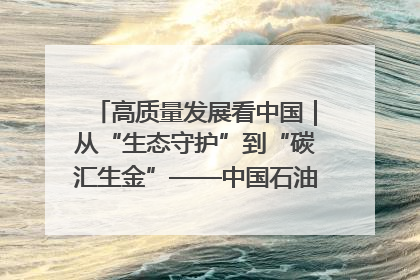 高质量发展看中国｜从“生态守护”到“碳汇生金”——中国石油大庆油田绿色蝶变