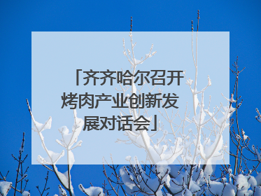 齐齐哈尔召开烤肉产业创新发展对话会
