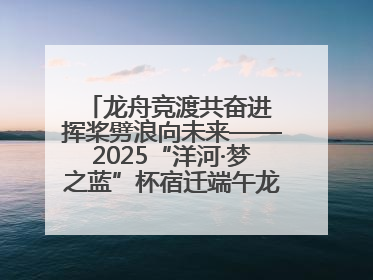 龙舟竞渡共奋进 挥桨劈浪向未来——2025“洋河·梦之蓝”杯宿迁端午龙舟赛侧记