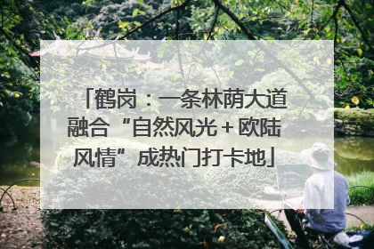 鹤岗：一条林荫大道融合“自然风光＋欧陆风情”成热门打卡地