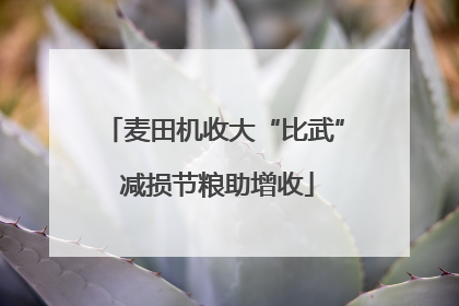 麦田机收大“比武” 减损节粮助增收
