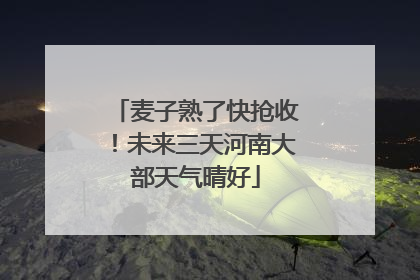 麦子熟了快抢收！未来三天河南大部天气晴好